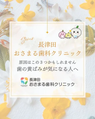 毎日ちゃんと歯を磨いているのに、なんだか歯が黄ばんで見える……。
そんなお悩みはありませんか？🥺

実は、歯が黄ばむ原因は1つだけではないんです！
原因に合っていないケアを続けていても、なかなか白くはなりません💦

今回は、歯の黄ばみの【3つの主な原因】をご紹介します。
ご自身の歯の黄ばみがどれに当てはまるか、チェックしてみてくださいね👇

🦷歯が黄ばむ3つの原因
① 飲み物・食べ物による着色（ステイン）
コーヒー、紅茶、赤ワイン、カレーなど、色の濃いものを好む方は要注意！色素が歯の表面に蓄積してしまいます。

② 歯の表面の汚れ
毎日の磨き残しや、蓄積した歯石、タバコのヤニなどが原因です。

③ 歯そのものの色
加齢にともなって歯の表面（エナメル質）が薄くなり、内側の黄色い層（象牙質）が透けて見えたり、生まれつき歯の色味が黄色っぽかったりする場合です。

✨大切なのは「分けて考えること」！
「黄ばみ＝全部ホワイトニングで解決」というわけではありません。

セルフケア（丁寧な歯磨きなど）で落とせるもの

歯科医院でのクリーニングや治療で改善しやすいもの

これらをしっかり見極めて、正しいケアを行うことが白い歯への近道です💡

「私の黄ばみの原因はどれ？」「どうすれば白くなる？」と気になった方は、ぜひ一度プロに相談してみませんか？😊

当院では、お一人おひとりの原因に合わせた最適なケアをご提案しています。
プロフィールのリンク、またはお電話からお気軽にご予約・ご相談ください。

#長津田おさまる歯科クリニック #おさまる歯科クリニック #歯科医院 #歯医者 #長津田